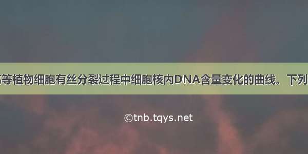 右图表示某高等植物细胞有丝分裂过程中细胞核内DNA含量变化的曲线。下列有关叙述正确