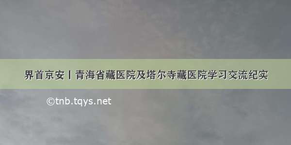 界首京安丨青海省藏医院及塔尔寺藏医院学习交流纪实