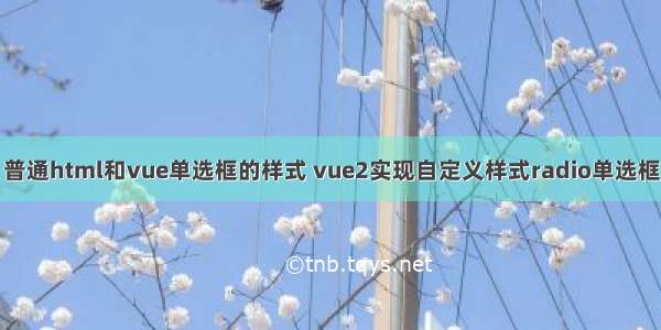 普通html和vue单选框的样式 vue2实现自定义样式radio单选框