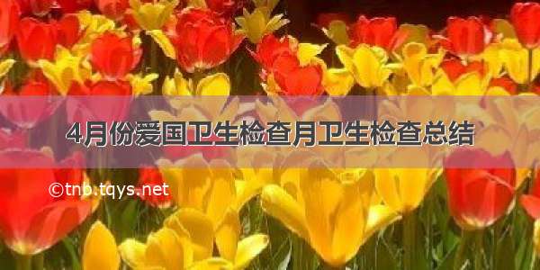 4月份爱国卫生检查月卫生检查总结