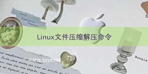 Linux文件压缩解压命令