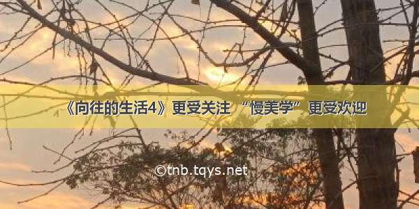 《向往的生活4》更受关注 “慢美学”更受欢迎