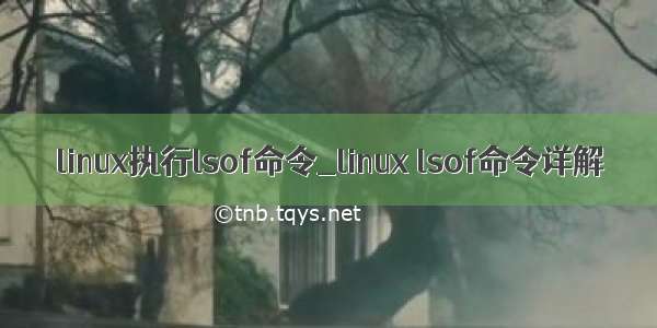 linux执行lsof命令_linux lsof命令详解