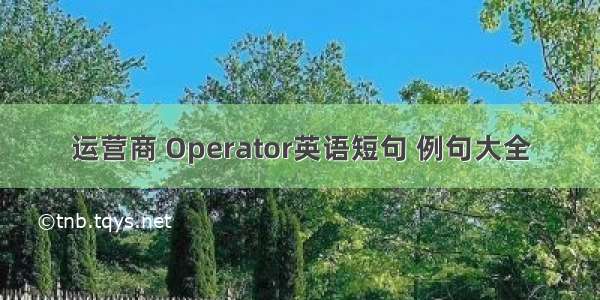 运营商 Operator英语短句 例句大全