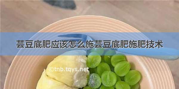 芸豆底肥应该怎么施芸豆底肥施肥技术