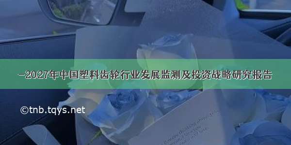 -2027年中国塑料齿轮行业发展监测及投资战略研究报告