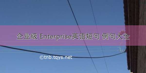 企业级 Enterprise英语短句 例句大全