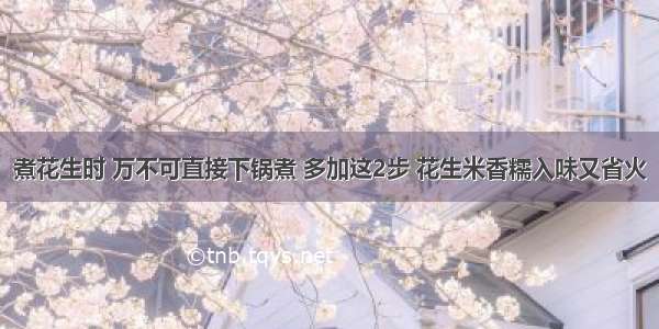 煮花生时 万不可直接下锅煮 多加这2步 花生米香糯入味又省火