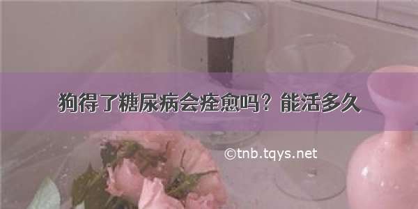 狗得了糖尿病会痊愈吗？能活多久