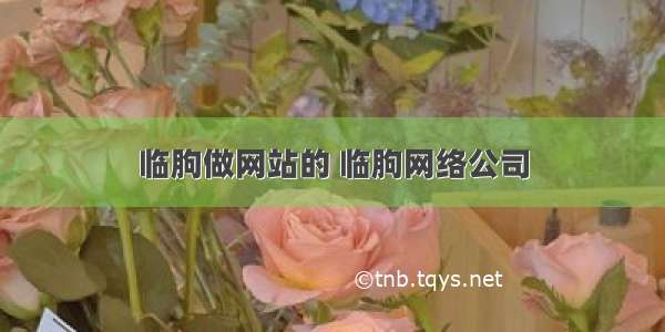 临朐做网站的 临朐网络公司