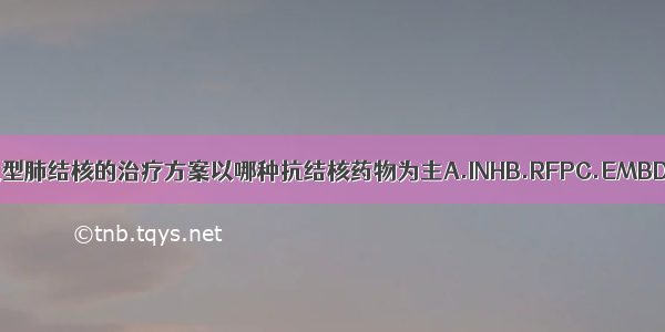 无明显自觉症状的原发型肺结核的治疗方案以哪种抗结核药物为主A.INHB.RFPC.EMBD.PZAE.SMABCDE