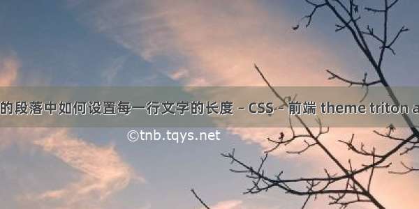 html的段落中如何设置每一行文字的长度 – CSS – 前端 theme triton all.css