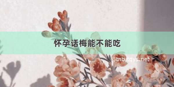 怀孕话梅能不能吃