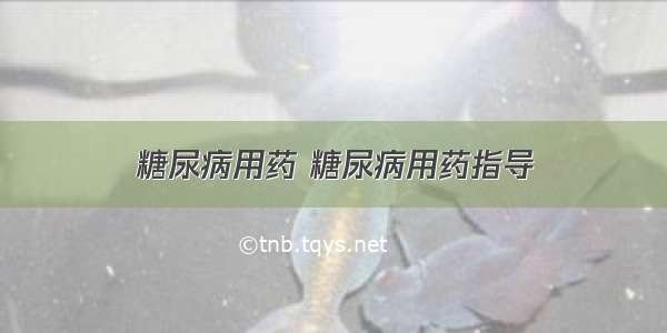 糖尿病用药 糖尿病用药指导