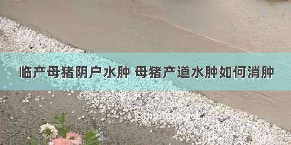 临产母猪阴户水肿 母猪产道水肿如何消肿