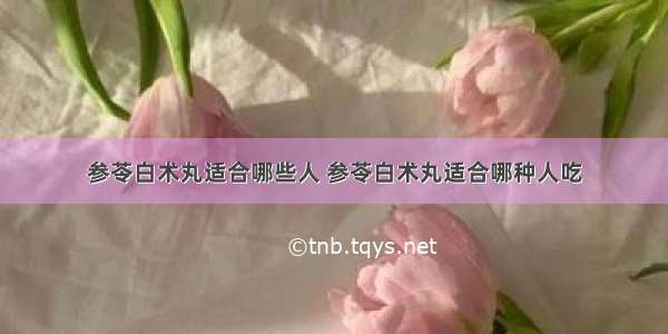 参苓白术丸适合哪些人 参苓白术丸适合哪种人吃