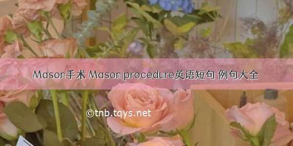 Mason手术 Mason procedure英语短句 例句大全