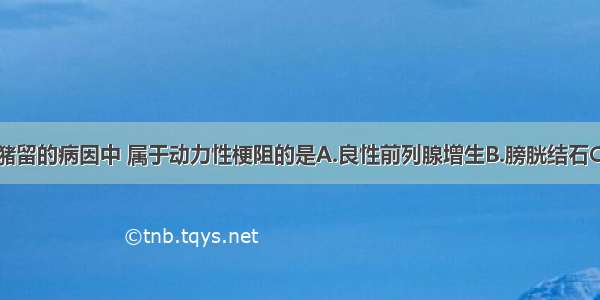 引起急性尿潴留的病因中 属于动力性梗阻的是A.良性前列腺增生B.膀胱结石C.尿道狭窄D.