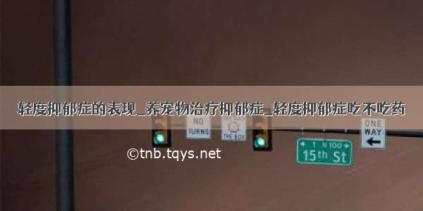 轻度抑郁症的表现_养宠物治疗抑郁症_轻度抑郁症吃不吃药