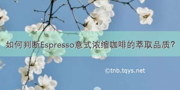 如何判断Espresso意式浓缩咖啡的萃取品质？