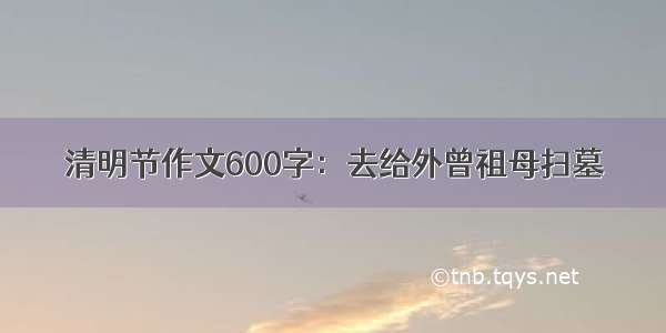 清明节作文600字：去给外曾祖母扫墓