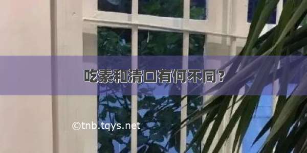 吃素和清口有何不同？