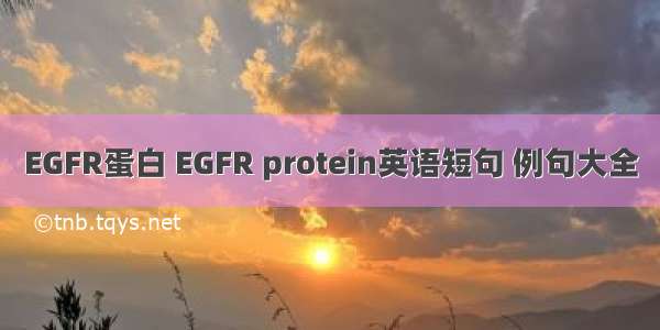EGFR蛋白 EGFR protein英语短句 例句大全