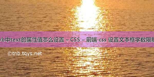 vb中text的属性值怎么设置 – CSS – 前端 css 设置文本框字数限制