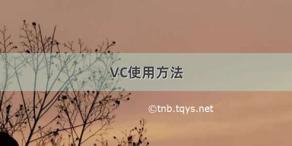 VC使用方法