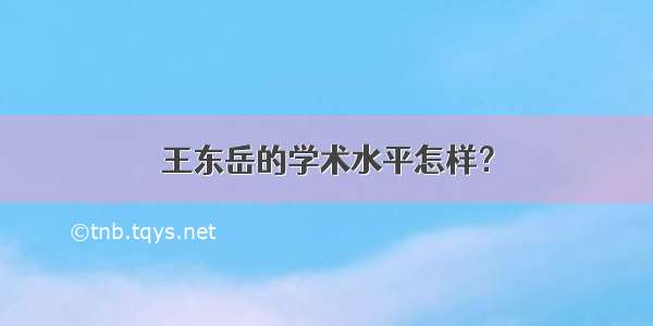 王东岳的学术水平怎样？