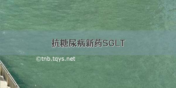 抗糖尿病新药SGLT