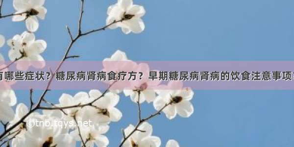 糖尿病肾病有哪些症状？糖尿病肾病食疗方？早期糖尿病肾病的饮食注意事项？糖尿病患者