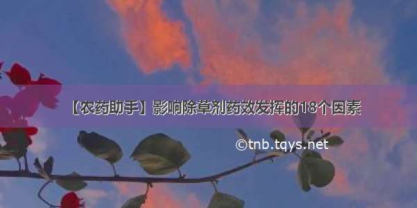 【农药助手】影响除草剂药效发挥的18个因素