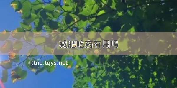 减肥吃药有用吗