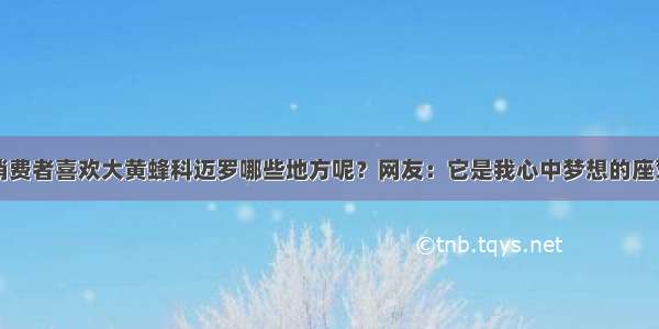 消费者喜欢大黄蜂科迈罗哪些地方呢？网友：它是我心中梦想的座驾