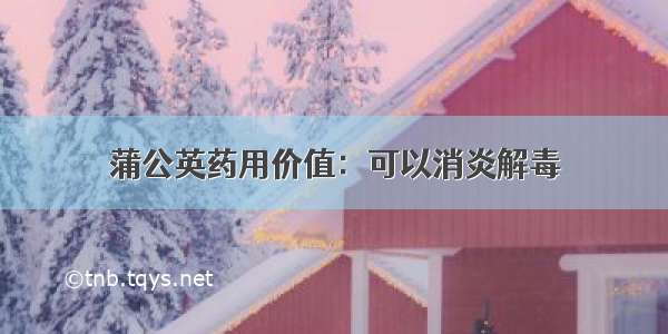 蒲公英药用价值：可以消炎解毒