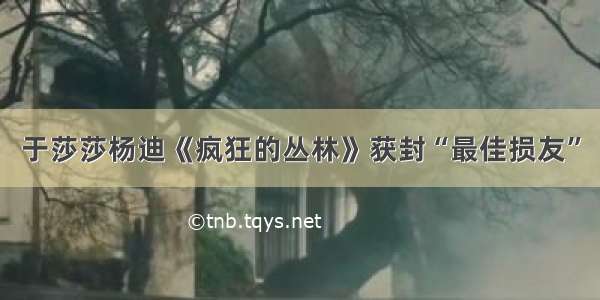 于莎莎杨迪《疯狂的丛林》获封“最佳损友”