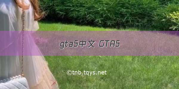 gta5中文 GTA5