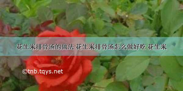 花生米排骨汤的做法 花生米排骨汤怎么做好吃 花生米