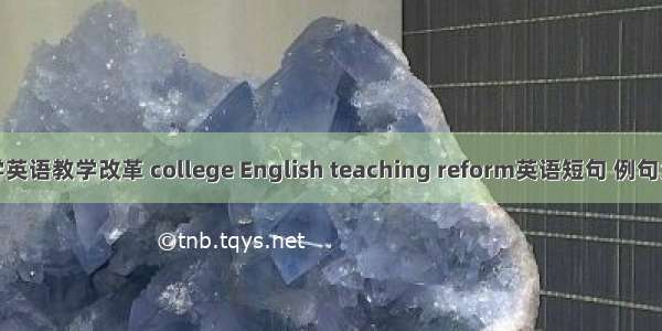 大学英语教学改革 college English teaching reform英语短句 例句大全