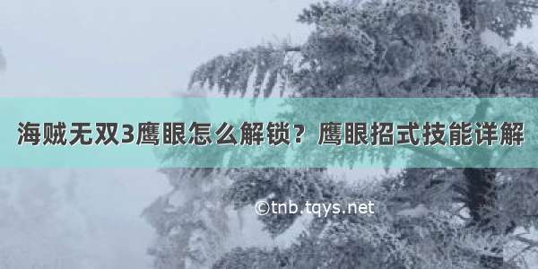 海贼无双3鹰眼怎么解锁？鹰眼招式技能详解