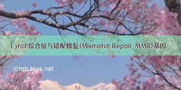 Lynch综合征与错配修复(Mismatch Repair  MMR)基因