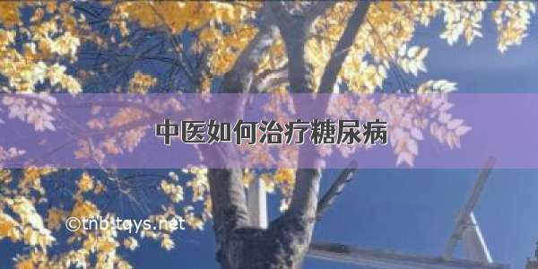 中医如何治疗糖尿病