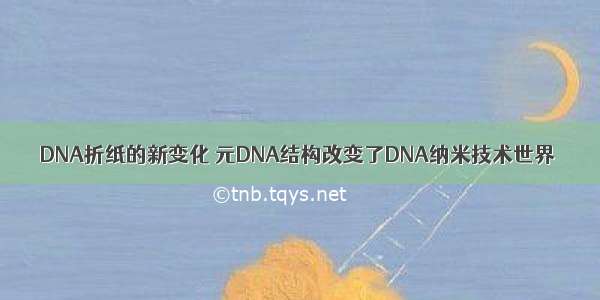 DNA折纸的新变化 元DNA结构改变了DNA纳米技术世界