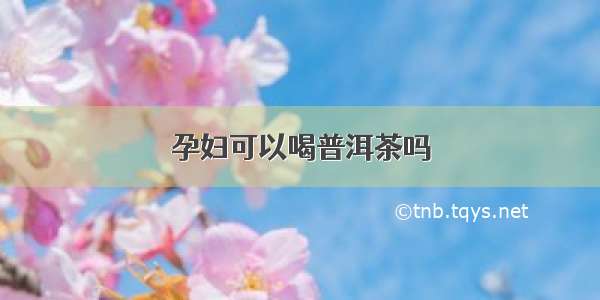 孕妇可以喝普洱茶吗