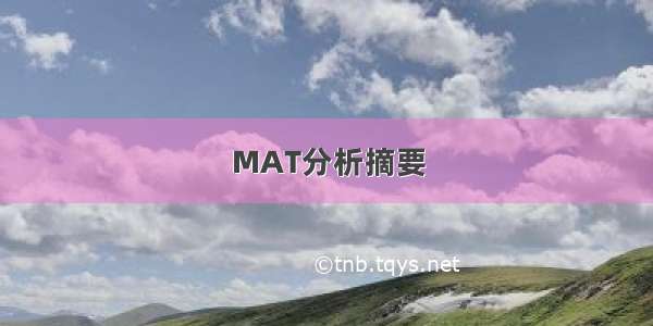 MAT分析摘要