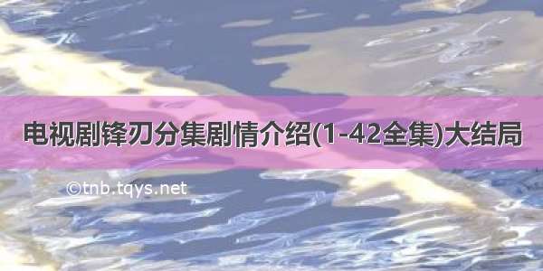 电视剧锋刃分集剧情介绍(1-42全集)大结局