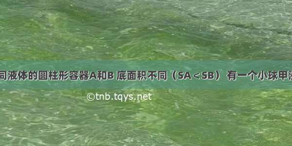 两个盛有不同液体的圆柱形容器A和B 底面积不同（SA＜SB） 有一个小球甲浸没在容器A