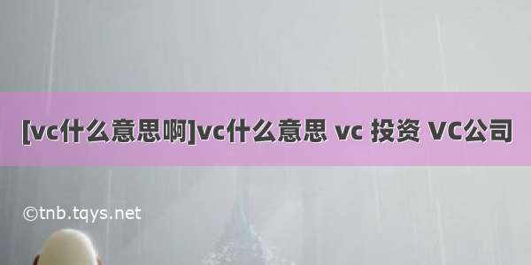 [vc什么意思啊]vc什么意思 vc 投资 VC公司