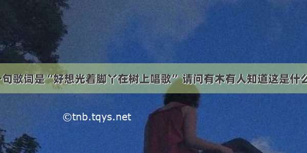 有一句歌词是“好想光着脚丫在树上唱歌” 请问有木有人知道这是什么歌？